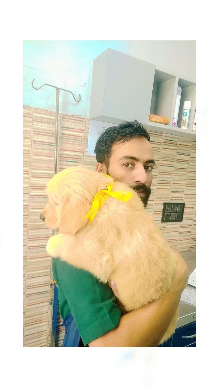 Pet Care
